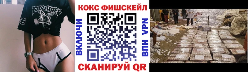 omg как зайти  Михайлов  дарк нет телеграм  Кокаин Эквадор 